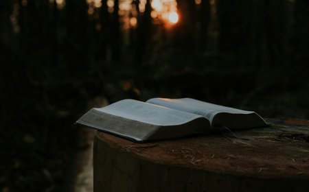 God in the Age of Pronouns: Father, Mother, or Neither?