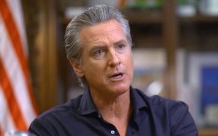 Gavin Newsom’s Very Good Year*