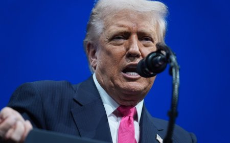 Trump ‘terminating’ deportation protections for ‘Somalis in Minnesota’ 