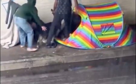 Dog screams in pain as homeless man drags it into tent near Skid Row