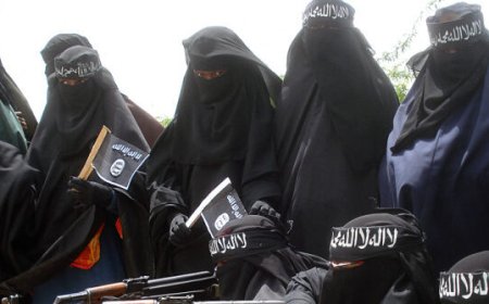 Exclusive - House Majority Whip Tom Emmer Calls for Investigation into Millions of Minnesota Taxpayer Funds Ending Up in Al-Shabaab Hands