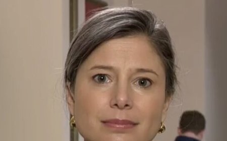 Dem Rep. Goodlander: Trump Has Become 'Unglued by a Simple Statement of Federal Law'