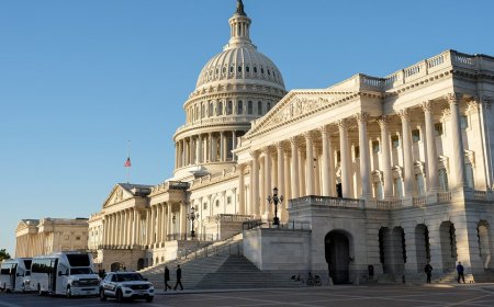 WATCH: Democrats struggle to defend Schumer after shutdown ends with few wins