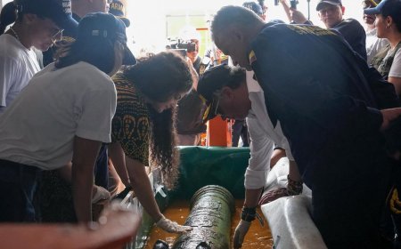 Colombian scientists recover cannon, coins and porcelain cup from 300-year-old Spanish shipwreck