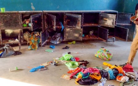 Number of children abducted from Catholic school in Nigeria explodes to over 300
