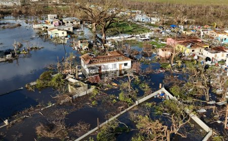 Deadly leptospirosis outbreak hits Jamaica following Hurricane Melissa devastation