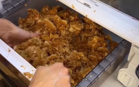 Smashing pumpkins — influencer goes viral for serving scoops of mushed-up pumpkin pie out of her refrigerator drawer