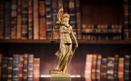 Liberal activist judges are waging war against Trump 