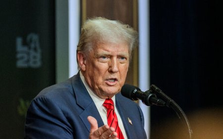 Trump Terminates 'Temporary' Amnesty for Somali Migrants in Minnesota: 'Billions of Dollars' Missing