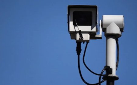 MYLIE BIGGS: Flock Cameras Are Invading And Coming To A City Near You