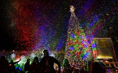 Four Injured in Shootout at North Carolina Christmas Tree Lighting Ceremony