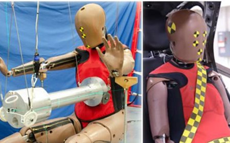 New Crash Dummy Reflects Biological Differences Between Men and Women