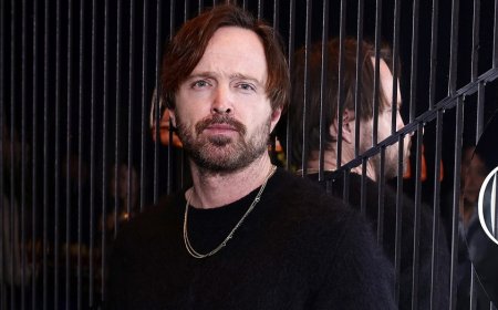 'Breaking Bad' star Aaron Paul moves family from Los Angeles to Paris after LA fires