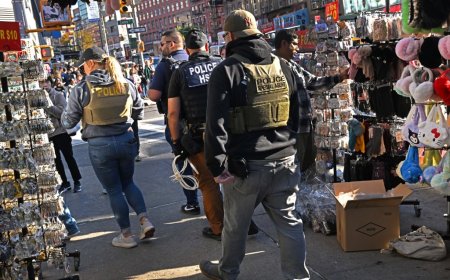 ICE arrests illegal immigrant selling counterfeit goods on Canal Street