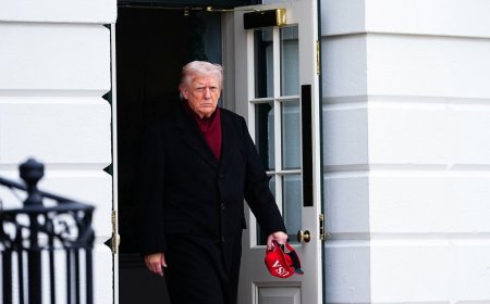 Trump would ‘love to see’ Marjorie Taylor Greene return to politics: Report