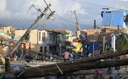 Jamaica Reports Deadly Disease Outbreak After Hurricane Melissa