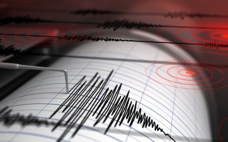 Two earthquakes shake New Madrid only minutes apart