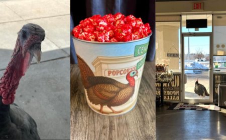 Wichita business creates popcorn tin for beloved turkey