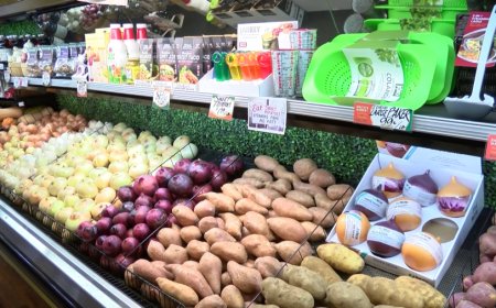 Thanksgiving dinner will cost 5% less this year, Farm Bureau reports