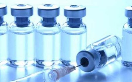 How to stay healthy this cold and flu season