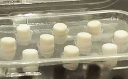 Coral from the sea is being used in some knee surgeries in NYC. Here's how, and why