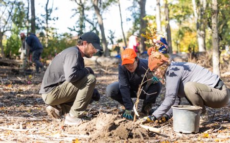 More Than 880 Trees Planted on 26th Annual Forest Restoration Day