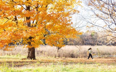Enjoying Autumn in Forest Park