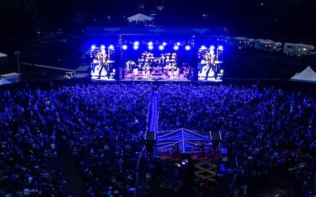 Navigating the Evolution Festival’s Third Rendition