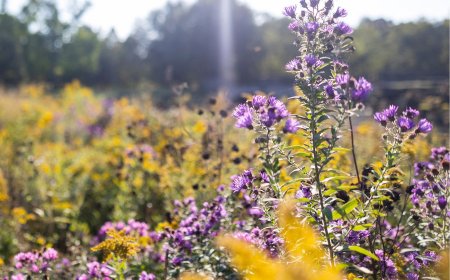 A September to Remember