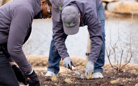 Waterways: Forest Park Forever Team Plants Over 3,400 Plants in One Morning