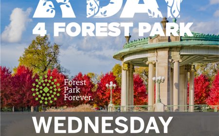 Tune in to KMOV on a Day 4 Forest Park