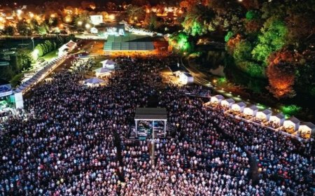 Navigating Evolution Festival's Second Rendition