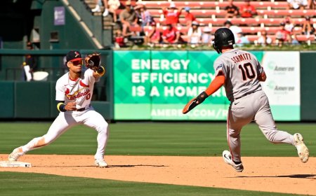 St Louis Cardinals Roster Rundown for mid-November