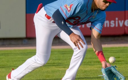 Cardinals News: 4 Prospects Added to 40-Man Roster