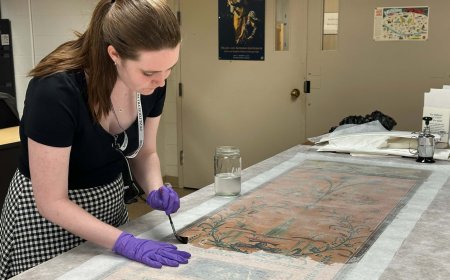 Intern conservation project to bring 18th-century wallpaper back to the galleries