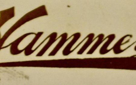 Hammer Photography Studio