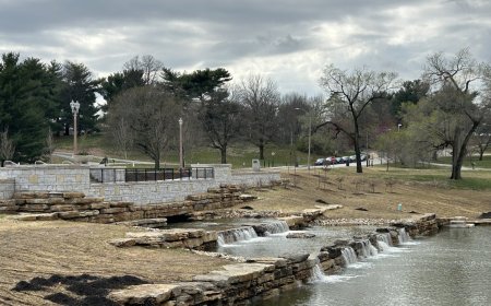 Rudolph L. Wise & Mary Frances Wise Falls - Forest Park