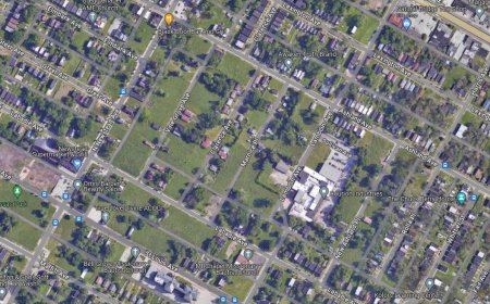 St. Louis Demographic Shifts