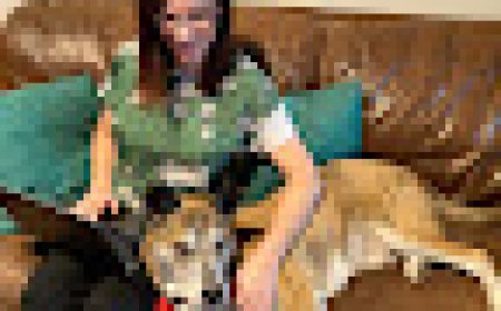 Pets of Quarantine: The Work Edition