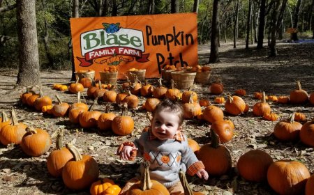 The Best Pumpkin Patches in Dallas Fort Worth