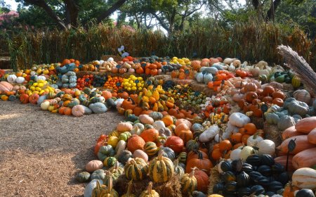 Incredible & Edible Pumpkins