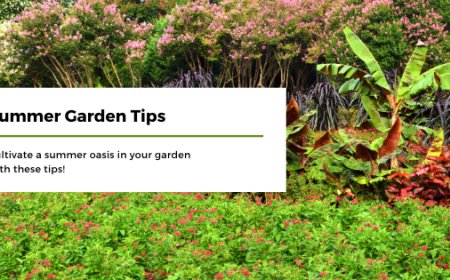 Summer Garden Tips