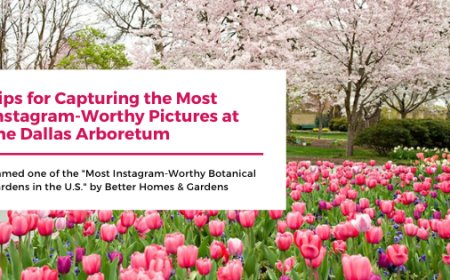 Tips for Capturing the Most Instagram-Worthy Pictures at the Dallas Arboretum