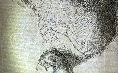 Cataloguing the DMA’s Rembrandt Prints 