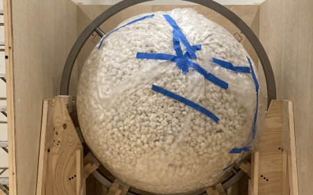 Installation of Ja’Tovia Gary’s “In my mother’s house there are many many…”