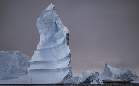 MITAL PATEL PHOTOGRAPHY