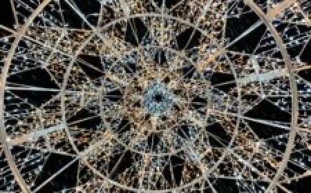 Christmas At The Gaylord Texan 2022 Review