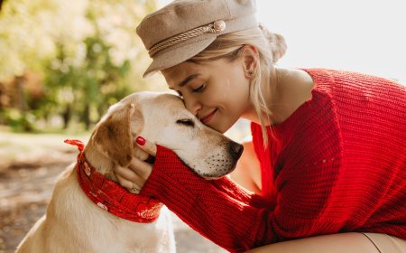 Support Free Pet Food Pantries in North Texas to Keep Bowls and Bellies Full 