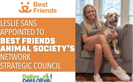 Dallas Pets Alive’s Leslie Sans Appointed to Best Friends Network Strategy Council