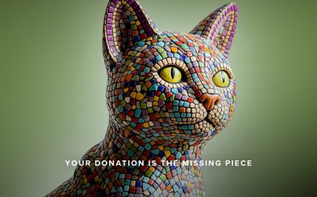 Make Our 13th Year a Lucky One And Support DPA On North Texas Giving Day 2025 